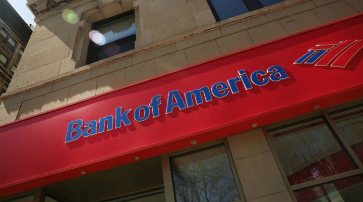fraud department for bank of america