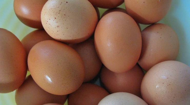Multiple big names in the food industry are starting to make cage-free eggs.