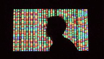 A visitor looks at a digital representation of the human genome which is a sequence of colored squares.