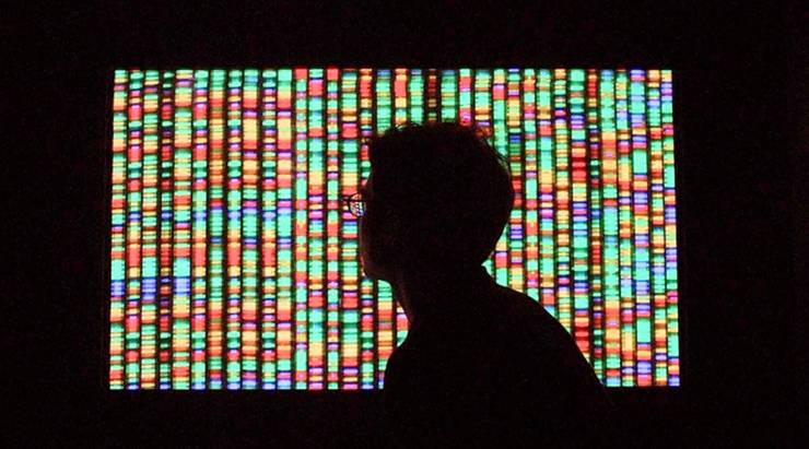 A visitor looks at a digital representation of the human genome which is a sequence of colored squares.