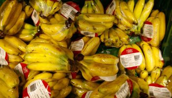 Pre-packaged bananas are shown for sale at a Fresh & Easy grocery as Tesco PLC, the UK's biggest retailer, officially enters the U.S. market, opening its first six stores in southern California on November 8, 2007 in Los Angeles, California.