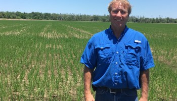 Jeff Durand on his rice farm in St. Martinville, Louisiana.