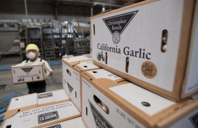 Employees work with garlic on the production line at Christopher Ranch in Gilroy, California on May, 30, 2019.