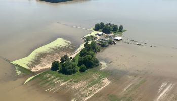 Flood waters covering farmland in the Mississippi Delta means thousands of acres of crops