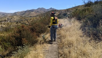 Tim Morris, a retired bank trader, clears overgrowth from the Pacific Crest Trail using a long brush saw.