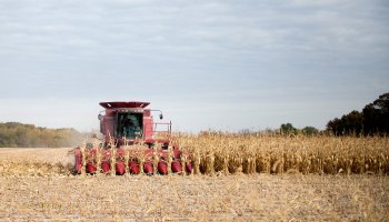 Rick Wirt harvests corn on Oct. 22, 2015, near Burlington, Iowa.