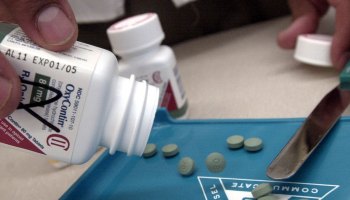 The prescription medicine OxyContin is displayed August 21, 2001 at a Walgreens drugstore in Brookline, MA.