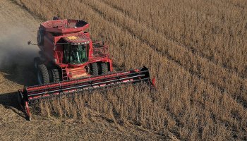 A view of a combine being used to harvest soybeans in a field at a farm in Iowa.