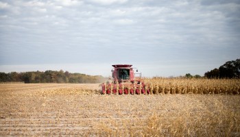 An Iowa corn farm in 2015.