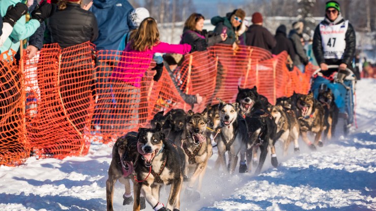 A sled dog team pulls a musher during the Iditarod