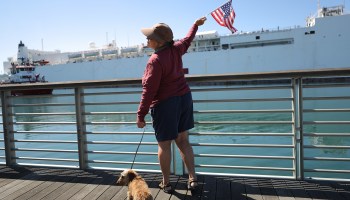 A retired nurse waves an American flag at the USNS Mercy, a hospital ship, in Los Angeles.