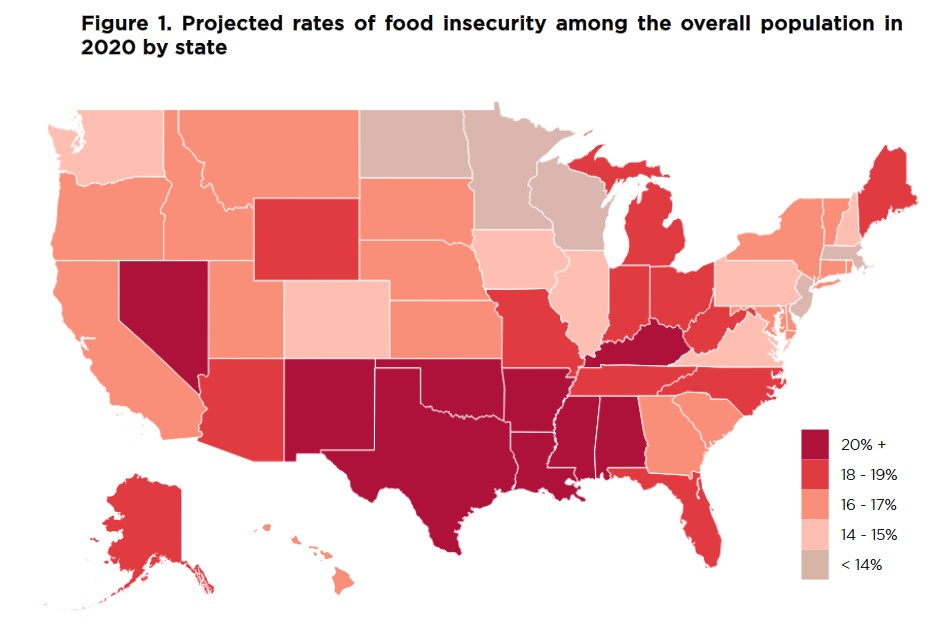 “Record levels” of food insecurity in the U.S. because of COVID-19