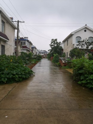Yu Ting's home village in central Hubei province where you parents have a property she can retreat to during bad economic times. (Courtesy of Yu Ting)