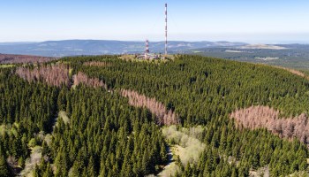 A patch of Germany's Harz Mountains. Droughts and other effects of the warming atmosphere are changing the planet. ing