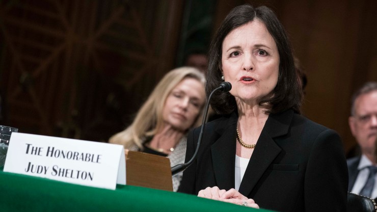 Judy Shelton testifies before the Senate Banking, Housing and Urban Affairs Committee during a hearing on her nomination to be member-designate on the Federal Reserve Board of Governors on February 13, 2020 in Washington.
