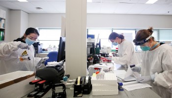 Scientists work in the microbiology department of an Australian laboratory. Research has new constraints and costs post-lockdown.