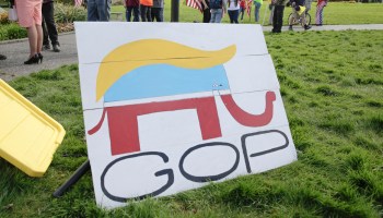 A Republican Party elephant logo is pictured with the hair of US President Donald Trump during a demonstration against Washington state's stay-home order at the state capitol in Olympia, Washington, on April 19, 2020.