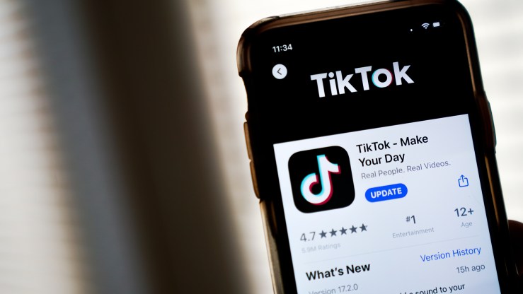 The download page for the TikTok app is displayed on an Apple iPhone