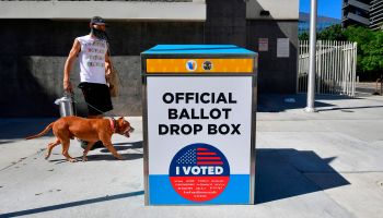 A man walks with his dog to cast his ballot at an official ballot drop box for the 2020 U.S. elections on a sidewalk in Los Angeles, California on October 12, 2020.