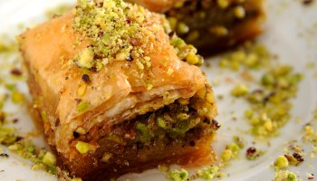 A piece of baklava with pistachio arranged on a white plate.