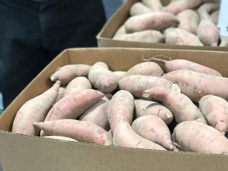 A box of sweet potatoes brought in from a farmer to distribute in the Tall Grass Food Box.