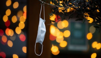 An image of a face mask hanging from a tee branch.