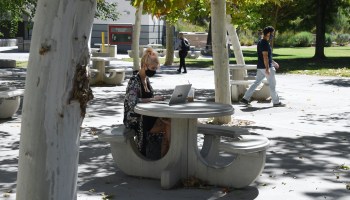 A university student attends class via laptop at a table outdoors.