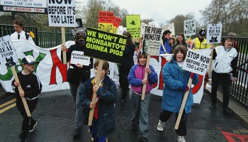 British children take part in a demonstration protesting genetically modified food in 1999.