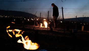 Winegrowers from the Daniel-Etienne Defaix wine estate lights anti-frost candles in their vineyard near Chablis, Burgundy, on April 7, 2021 as temperatures fall below zero degrees Celsius during the night.