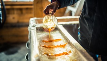 A close-up of a person at a sugar shack pouring maple syrup onto snow to make maple sugar taffy.