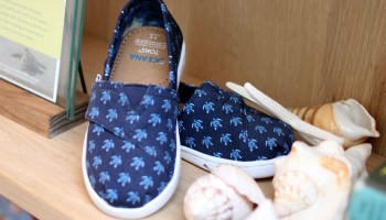 A pair of Toms shoes with a turtle pattern.