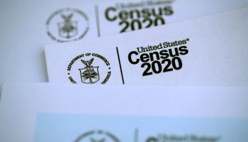 A closeup of the 2020 census logo.