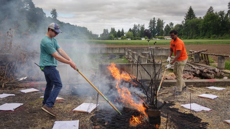 Student Will Heffernan (left) and researcher Sampath Adusumilli clear debris around a burned chamise branch during an experiment measuring the embers produced by vegetation.
