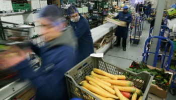 Workers in coats and hairnets distribute large cartons of vegetables.
