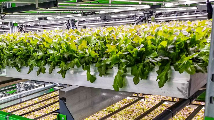 The vertical farming method of growing crops.