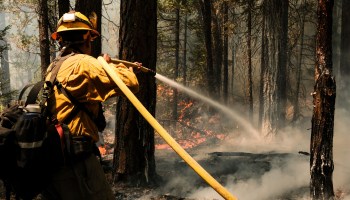 A firefighter employed by J. Franco Reforestation works to extinguish a control burn, a preventative measure to protect a home located on North Valley Road on August 9, 2021 in Greenville, California.
