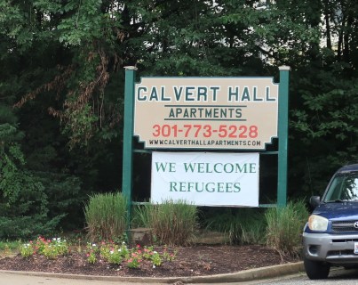 A beige and green wooden sign next to a driveway reads "Calvert Hall Apartments" 301-773-5228 www.calverthallapartments.com. Below the wooden sign is a plastic canvas sign that says "WE WELCOME REFUGEES". In front of the sign are several recently trimmed tall grasses, and a variety of pink and white flowers. 