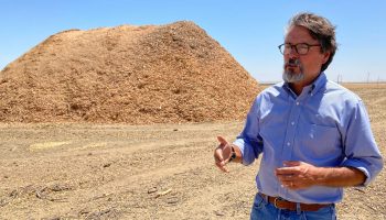 Stuart Woolf stands with almond wood chips.