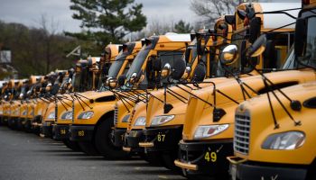 School buses parked in their depot.