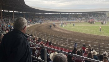 The Pendleton Round-Up arena can hold about 16,500 fans—about the whole population of town. On several days this year, ticket sales topped 10,000.