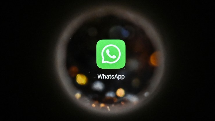 The WhatsApp logo on a smartphone screen.