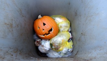 A jack-o'-lantern sits in a garbage can after Halloween night.