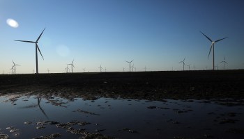 Wind turbines at a wind farm in Texas.