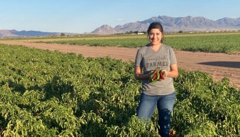 Jamie Viramontes farms chiles in Deming, New Mexico.