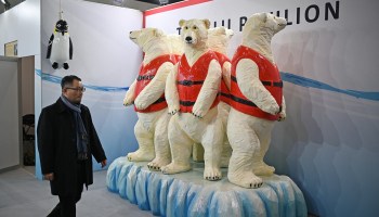 A delegate passes a display of polar bears wearing life jackets on the Tuvalu trade stand on the sidelines of the COP26 U.N. Climate Change Conference in Glasgow, Scotland, on Nov. 1.