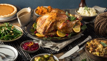 A Thanksgiving spread of Turkey, cranberry sauce, sweet potato, brussel sprouts, green beans and mashed potatoes is shown.
