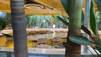 A garden "pod" office at Second Home Hollywood co-working space: Tall palm-like trees and foliage surround an a ring of white counters and tables with office chairs. The floor and covering are yellow.