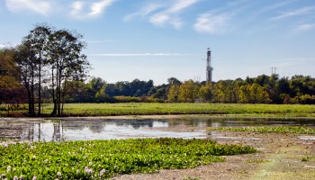 A fracking drilling rig is shown in the background of Louisiana farm and marshland.