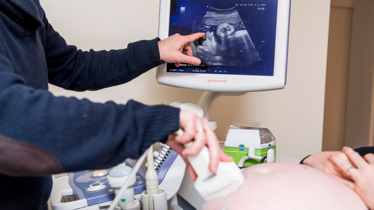 A gynecologist holds a wand against a pregnant patient's stomach and points to a screen of an ultrasound with a fetus in January 2019.