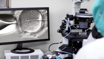 A screen shows a lab tech fertilizing an egg via in vitro fertilization.